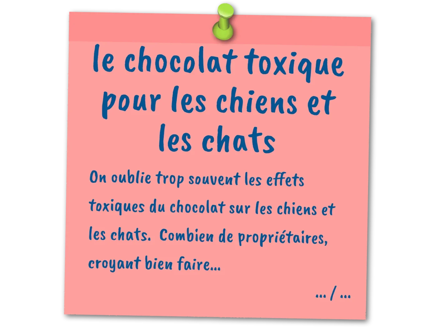 chocolat toxique chiens et chats 01