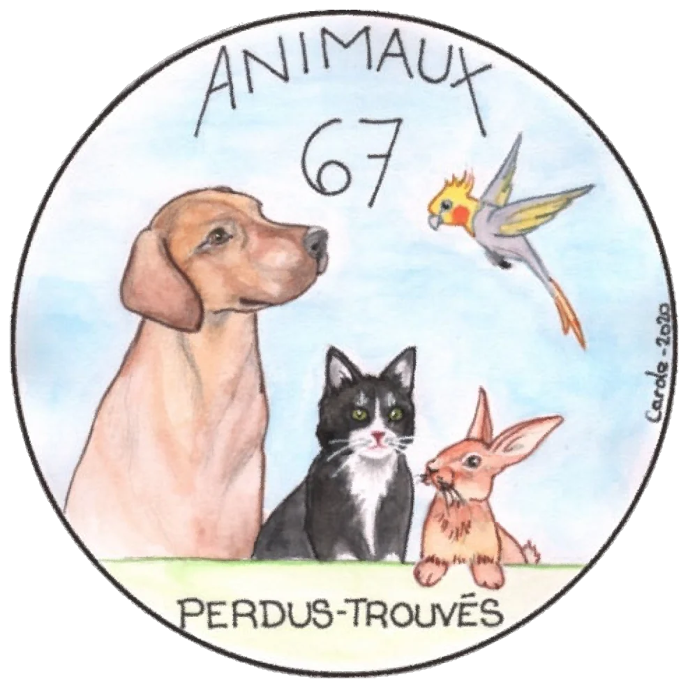 logo animaux perdus trouves 67 01