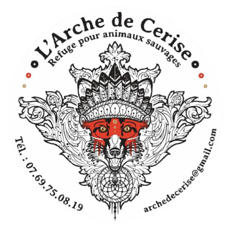 logo arche cerise 01
