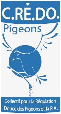 logo credo pigeons 01