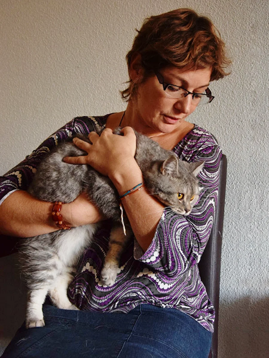 magnetisme sur chat 01