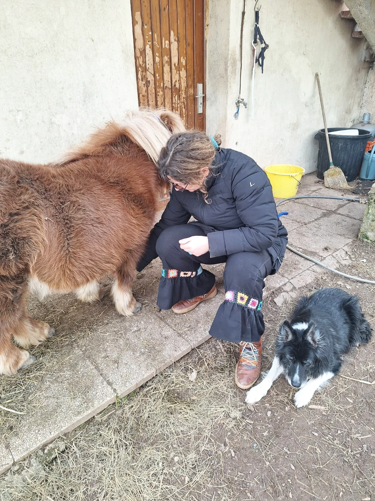 magnetisme sur poney 01