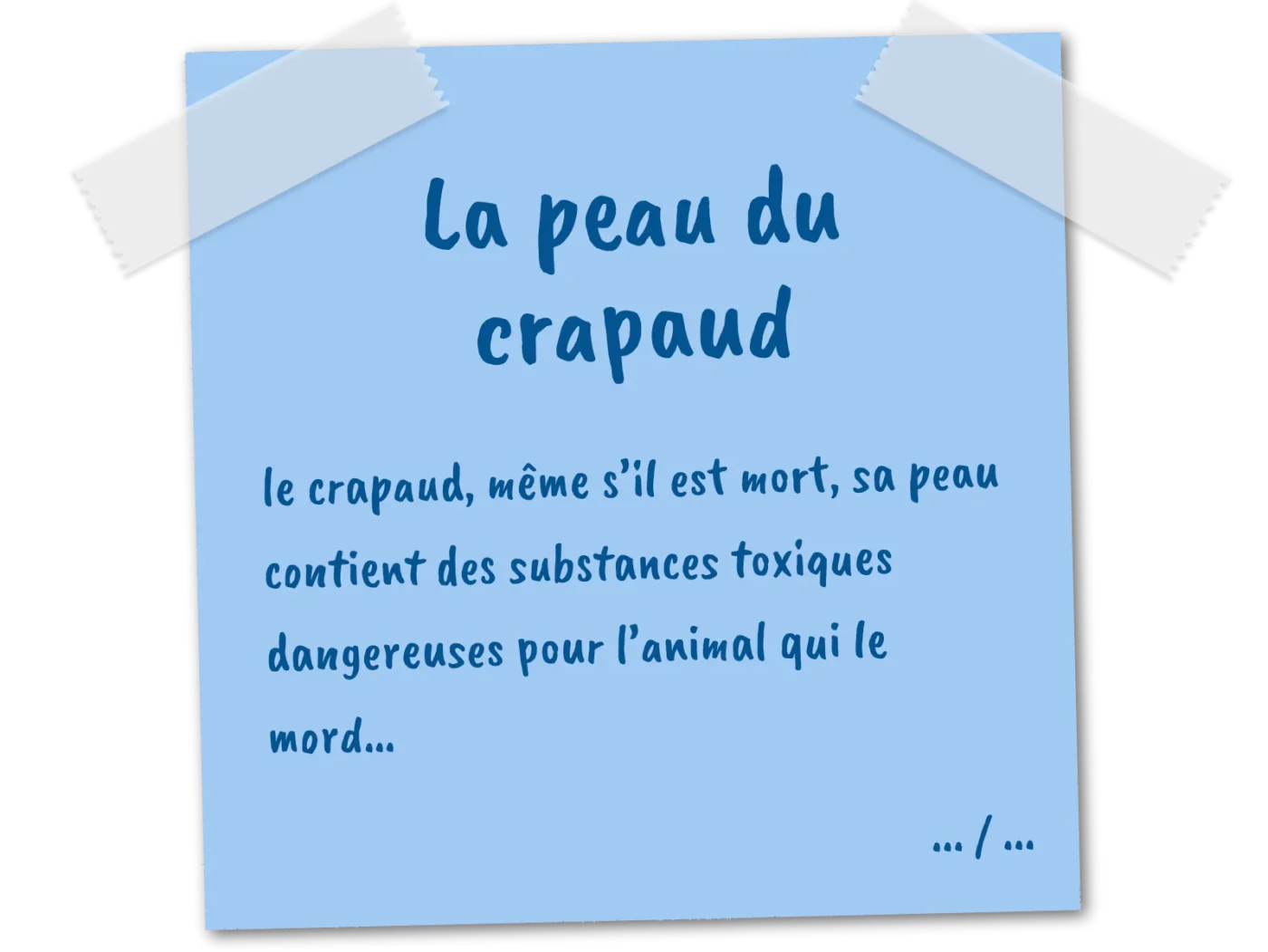 peau du crapaud 01