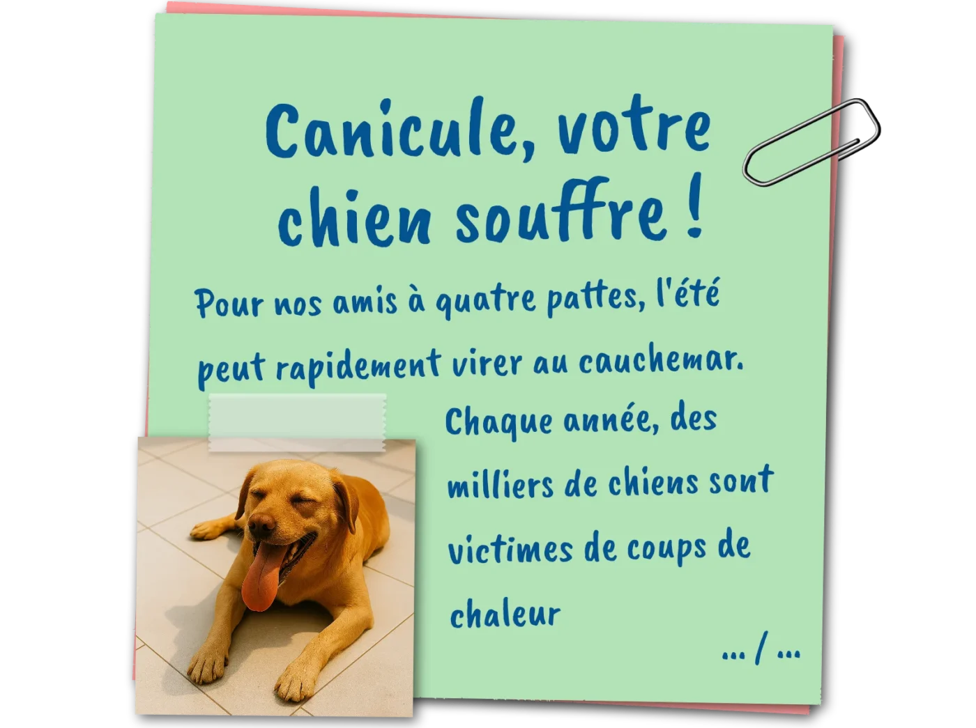 post it canicule chien souffre 02