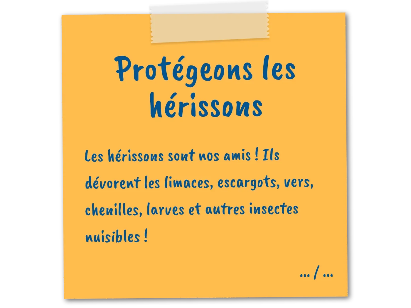 protegeons les herissons 01