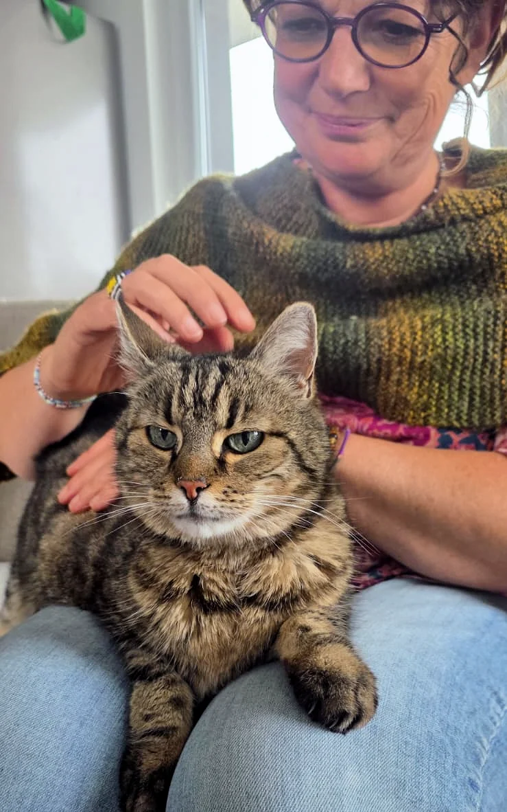 soins energetiques sur chat 02