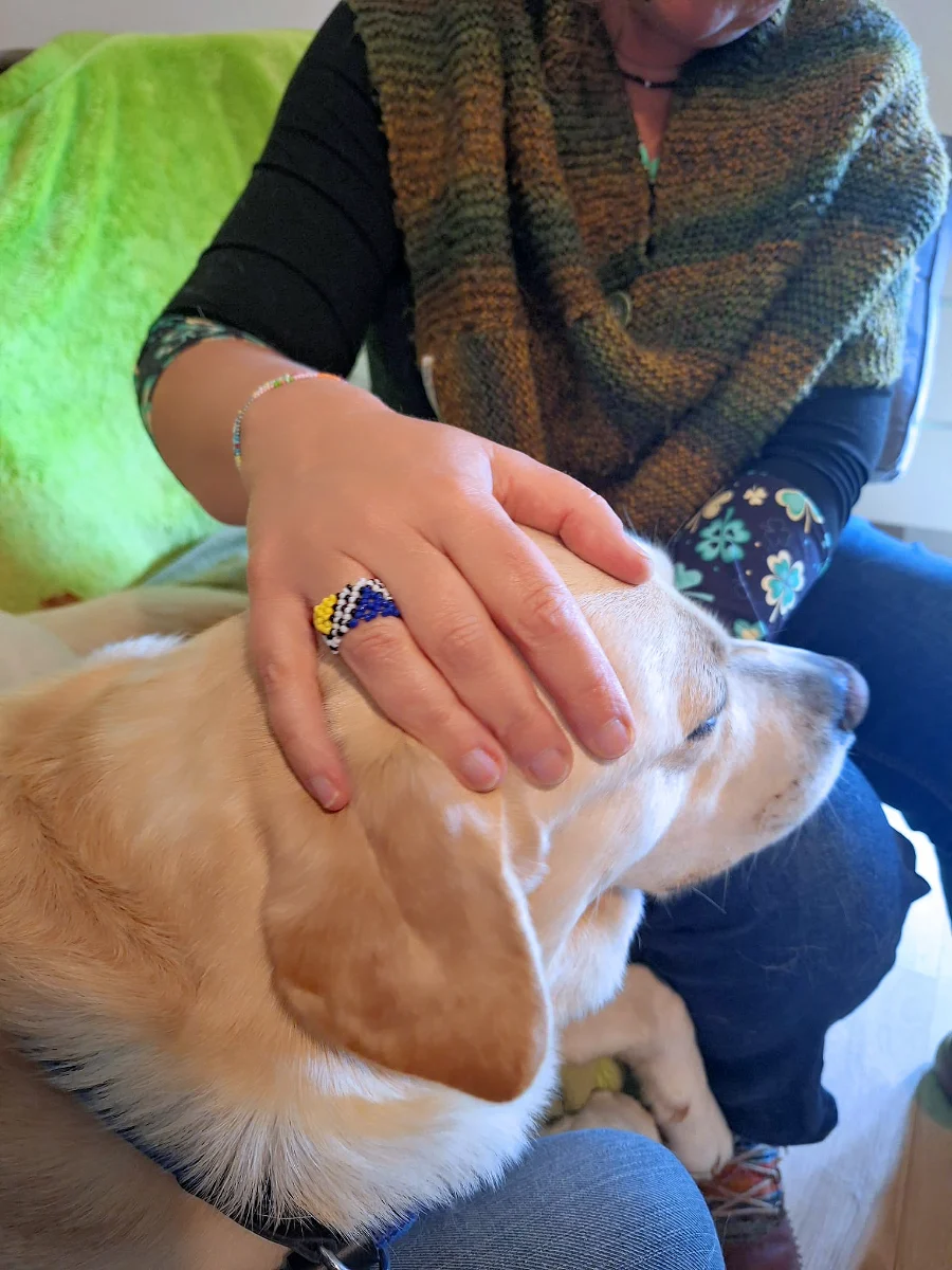 soins energetiques sur chien 04